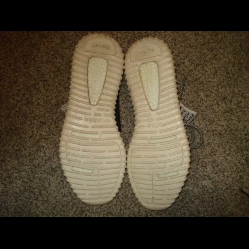 Yezzy 350 turtle dove